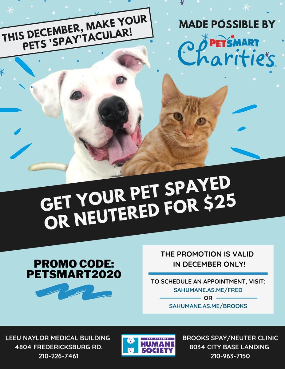 Humane Society Vca Spay Cost Dog How Much Does It Cost To Spay A