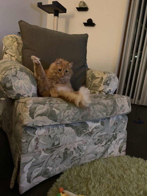 @psykonauris Mo says hello to ruuti https://t.co/5J8x6EBAqk<a class="tags" target="_blank" title="On Twitter" href="/?out=eyJ0eXAiOiJKV1QiLCJhbGciOiJIUzUxMiJ9.eyJpYXQiOjE3MjQ4ODc1OTAsImlzcyI6InR3cG9ybnN0YXJzLmNvbSIsIm5iZiI6MTcyNDg4NzU5MCwiZXhwIjoxNzU2NDIzNTkwLCJyZWRpcmVjdF91cmwiOiJodHRwczovL3R3aXR0ZXIuY29tL3BzeWtvbmF1cmlzIn0.xHoPmcCTPpvJaycpAX95xB5drHJKWyuNIDVqlLvhtSv6Y9wyRpKkZjrakiTRCuoE5u8ZGzE3B9fD2wQ3ZWzFbw">@psykonauris</a>