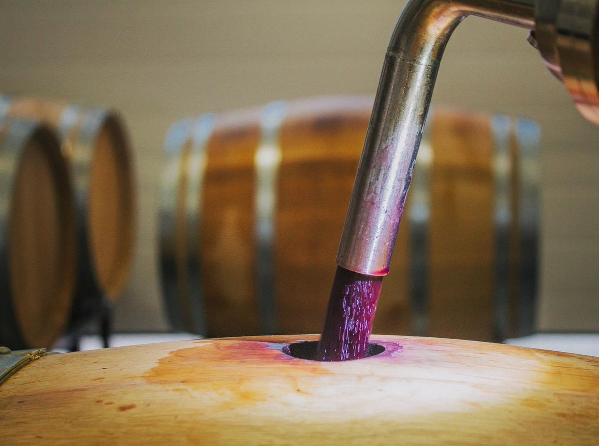 The Carménère is all tucked in for the winter! Such a great feeling getting everything into barrel. Happy #carmenereday 💕 #bcwine