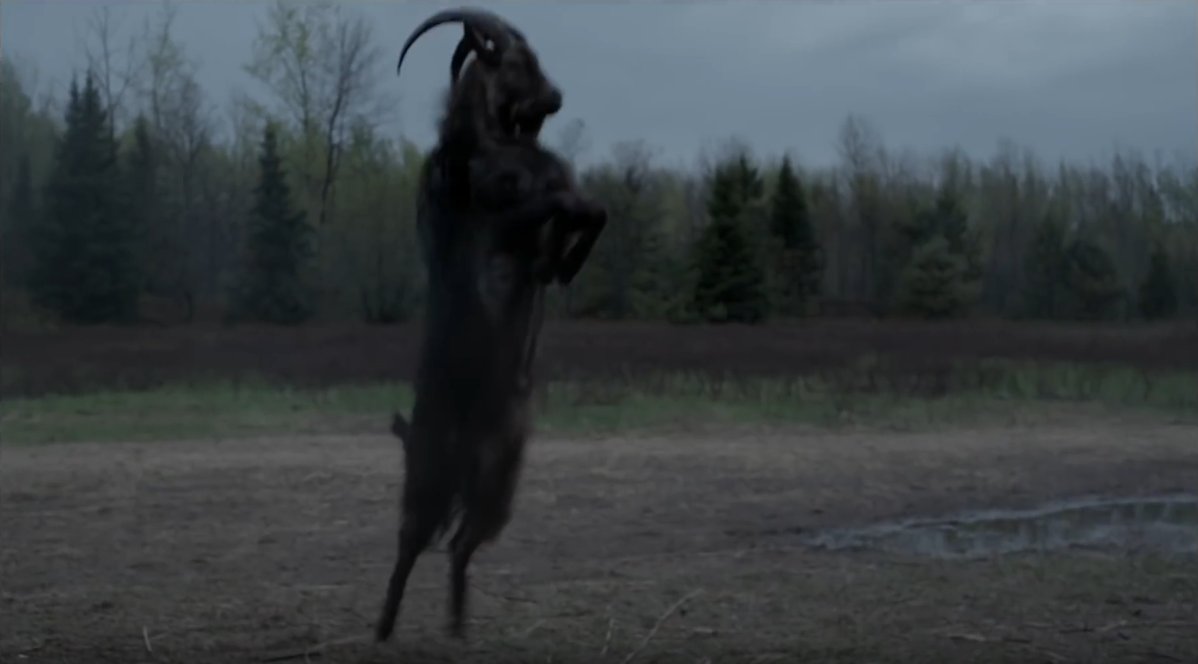 A lot of people have sent me pictures of a goat... Sexy Satan? You decide. Black Philip from The Witch (with human counterpart)