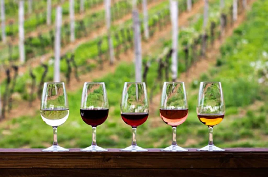 FOMs2017's tweet photo. Wines for the virtual wine-tasting on Dec 5th are.........
Mouton Noir Muscadet
Loxarel Cora
Alta Alella Asarvos Orange Wine
Weingut Tholre Spatburgunder
Quentin Harel Allobrogica
Pur Jus Syrah, Domaine de la Graveirette

Contact foms@habsmonmouth.org.uk for tickets £100 each. https://t.co/XQQXMlBHhn