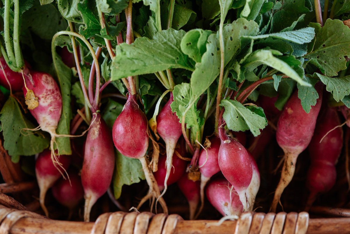 Grab all of your last minute Thanksgiving dinner ingredients 🥦 🥖 at our community Farmers' Market this Wednesday, November 25 from 8am - 12pm at Farmstead. #napavalley #farmersmarket #sthelenaca