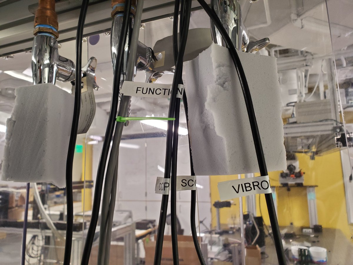 BrittanyKamai's tweet image. It's a scientifically proven fact that if you label stuff in the lab it's less likely to walk away.

#lablyfe