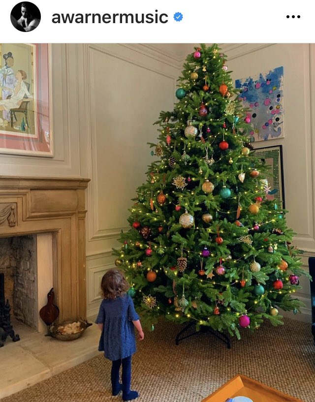 Christmas has landed at The Dornan Home! Stunning! 🎄👏👏🎁🎉🎉
#JamieDornan #AmeliaWarner