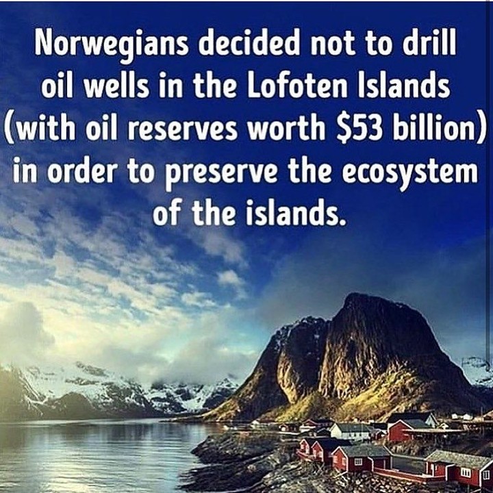 Zero Plastic tweet media