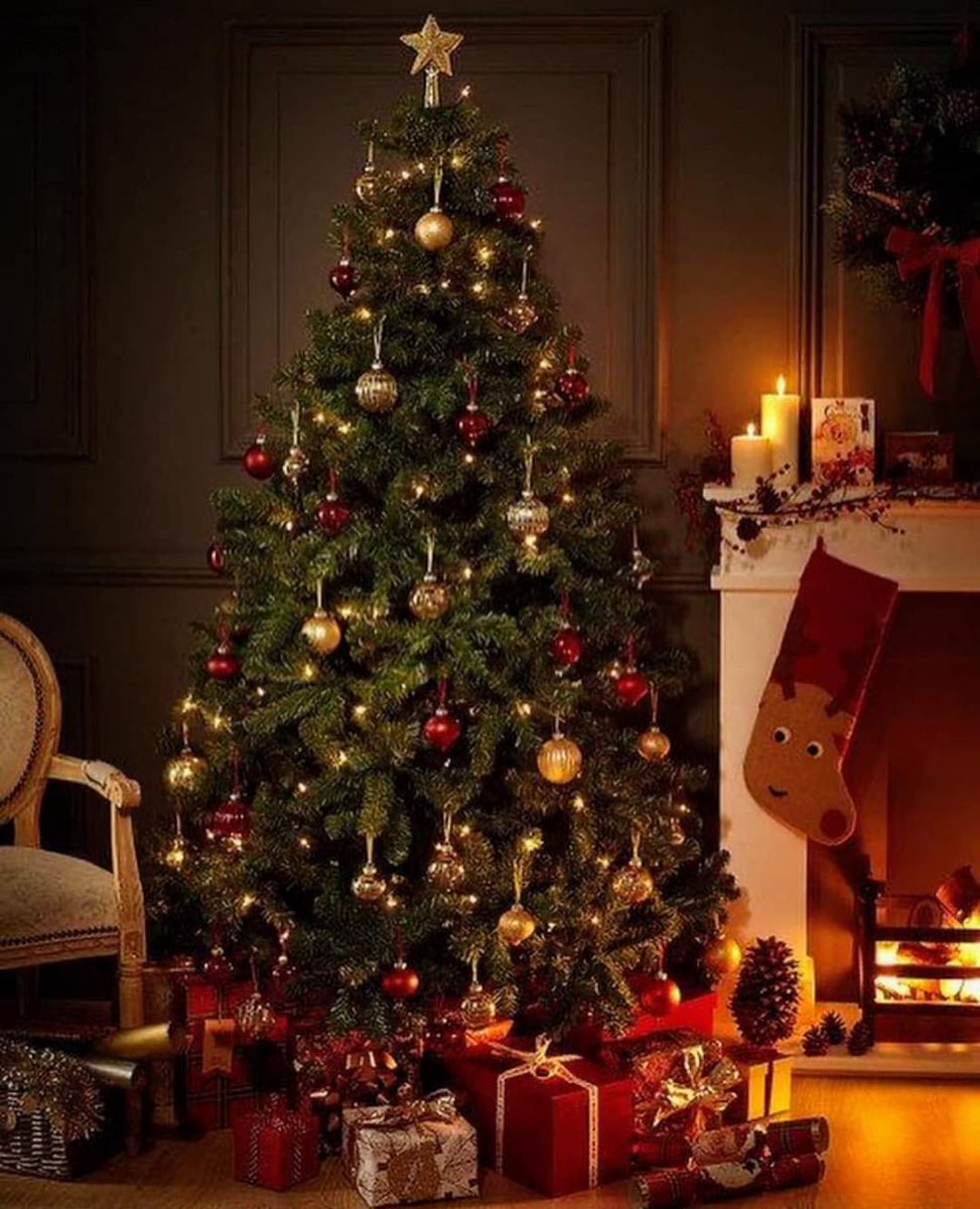 El Nadal 🎅🏻 Una de les èpoques de l'any 🎁 que més m'agraden 🎄 #nadal #bonnadal #navidad #felznavidad #christmas #merrychristmas #merrychristmas2020 #ChristmasTree #christmaswindow #santaclaus #Christmass #christmascake #christmascakes #mardelplatalimousines @elcorteingles https://t.co/tpAh3FtsNY