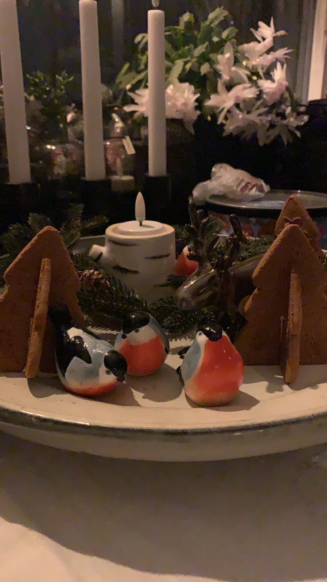 marikae2's tweet photo. Julstämning 🎄 https://t.co/PG369bK5Qo