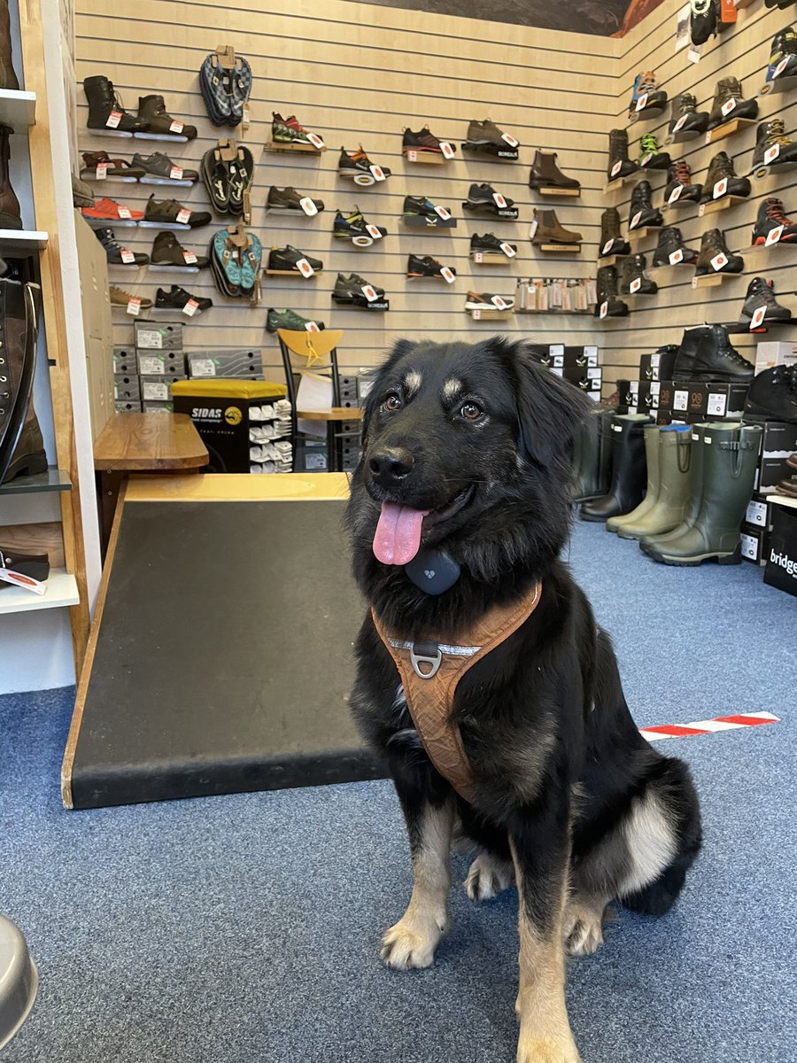 Keswick boot co tweet media