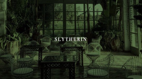 𝗛𝗣 𝗦𝗤𝗨𝗔𝗗 tweet media