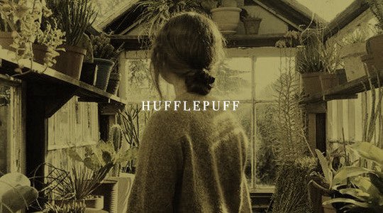 𝗛𝗣 𝗦𝗤𝗨𝗔𝗗 tweet media