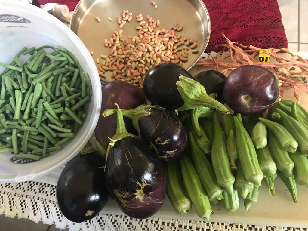 ilis_watts's tweet photo. Back Yard Gardeners, (BYG) #foodsecure and loving it!

#ZeroHunger
#foodsecurity 
#homegarden
#GrowYourOwnFood

Photo credit C. Kelly SKN https://t.co/JZHwUHlxzL