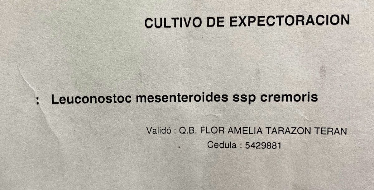 ecameselle's tweet image. Tengo miedo a pronunciar esto, será un hechizo ? Aiuda