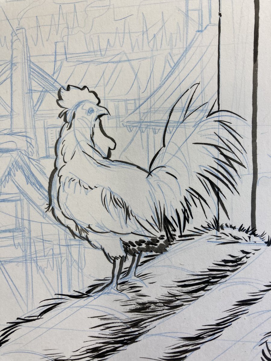 Doodle_Bags's tweet photo. Rooster... #rooster #chicken #roosterdrawing #animaldrawing   #animalart #ink #inkart #inkprocess #drawing #illustration #illustrator #illustrationartists #conceptart #conceptartist #brush #brushart #penandink https://t.co/Fh1NlcuBjB