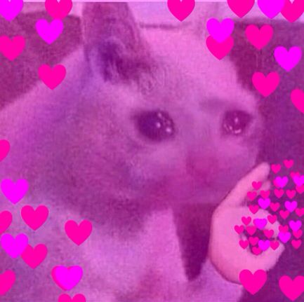 JMINBLISS's tweet photo. @BTS_twt *cries in INTERNATIONAL* https://t.co/8ZiDEE4pOS