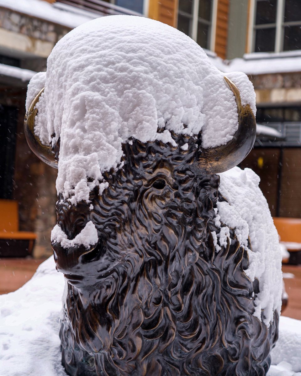 No gel needed for this Snohawk ❄️ 10' overnight has everyone out and about in their powder day up-do's! #Keystone #COwx