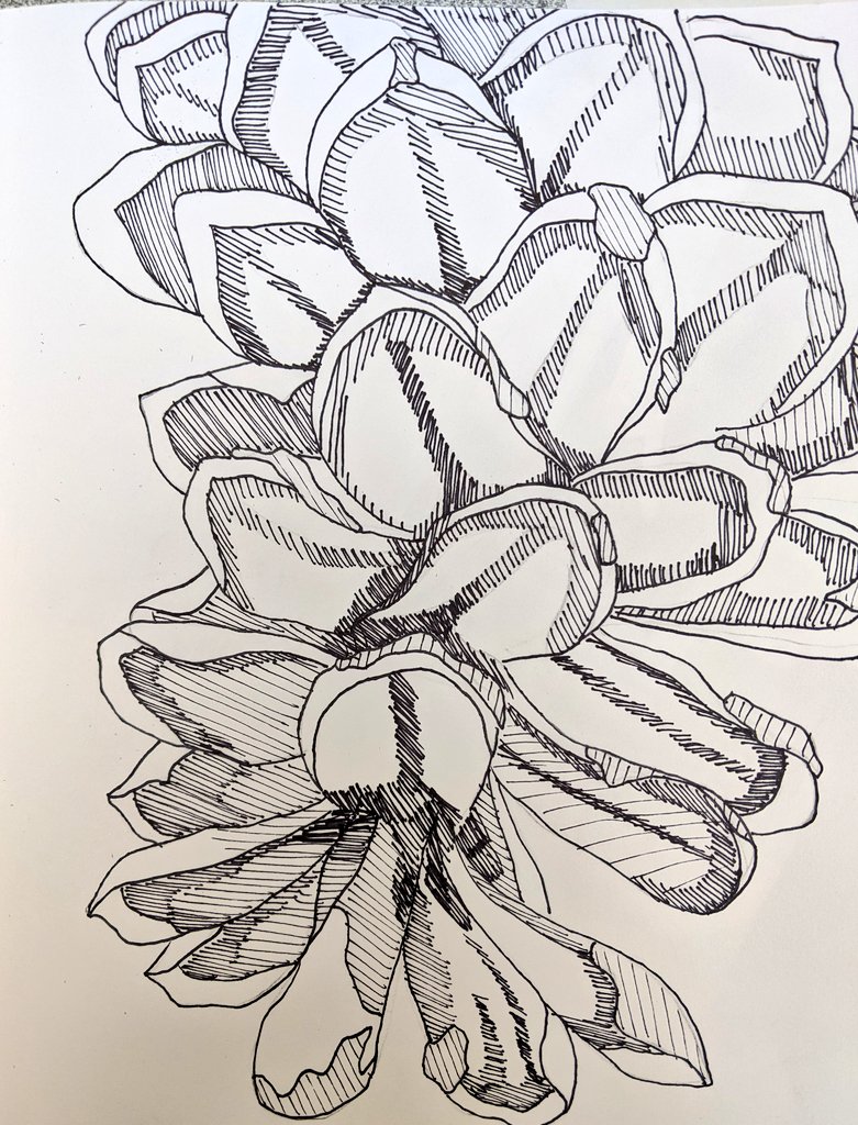Looking closely at details &amp; appreciating the intricacies of nature with a focus on #contour... Who would have thought pinecones could look so cool!? #arteducationmatters #creativekids #artclass #pinecones