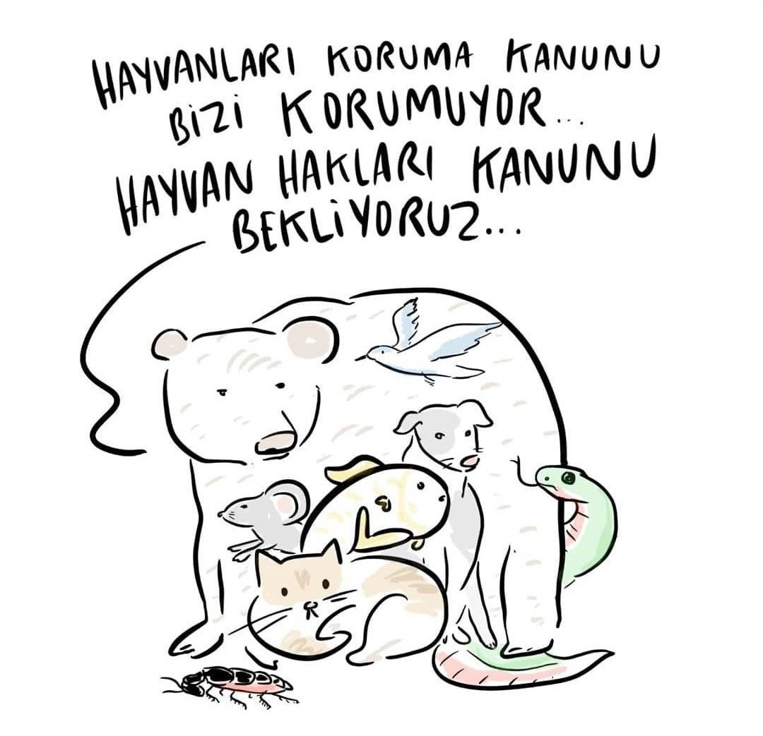 Hayvanları yasa olmayan koruyamayız. Yasa çıkması için birlikte çalışmalıyız ve kamuoyu oluşturmalıyız. 

Bu masum canların yaşamasına katkı sağlamak isteyenleri sayfamıza bekliyorum.