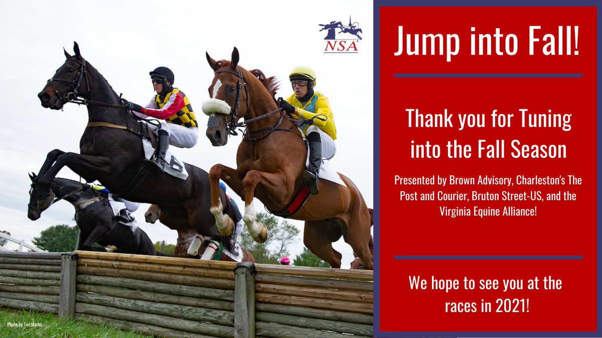 JumpingwithNSA's tweet photo. We're giving thanks this week to everyone who helped make our fall season live stream a success - from the owners, trainers and riders to the video production crew to YOU the viewer - we couldn't have done it without you!
#jumpintofall #gojumpracing https://t.co/EadMLRe9It