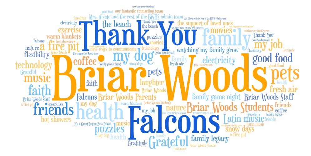 Have a safe and healthy Thanksgiving Break.  Here are a few of the things that members of  the Briar Woods Counseling team are thankful for this year!