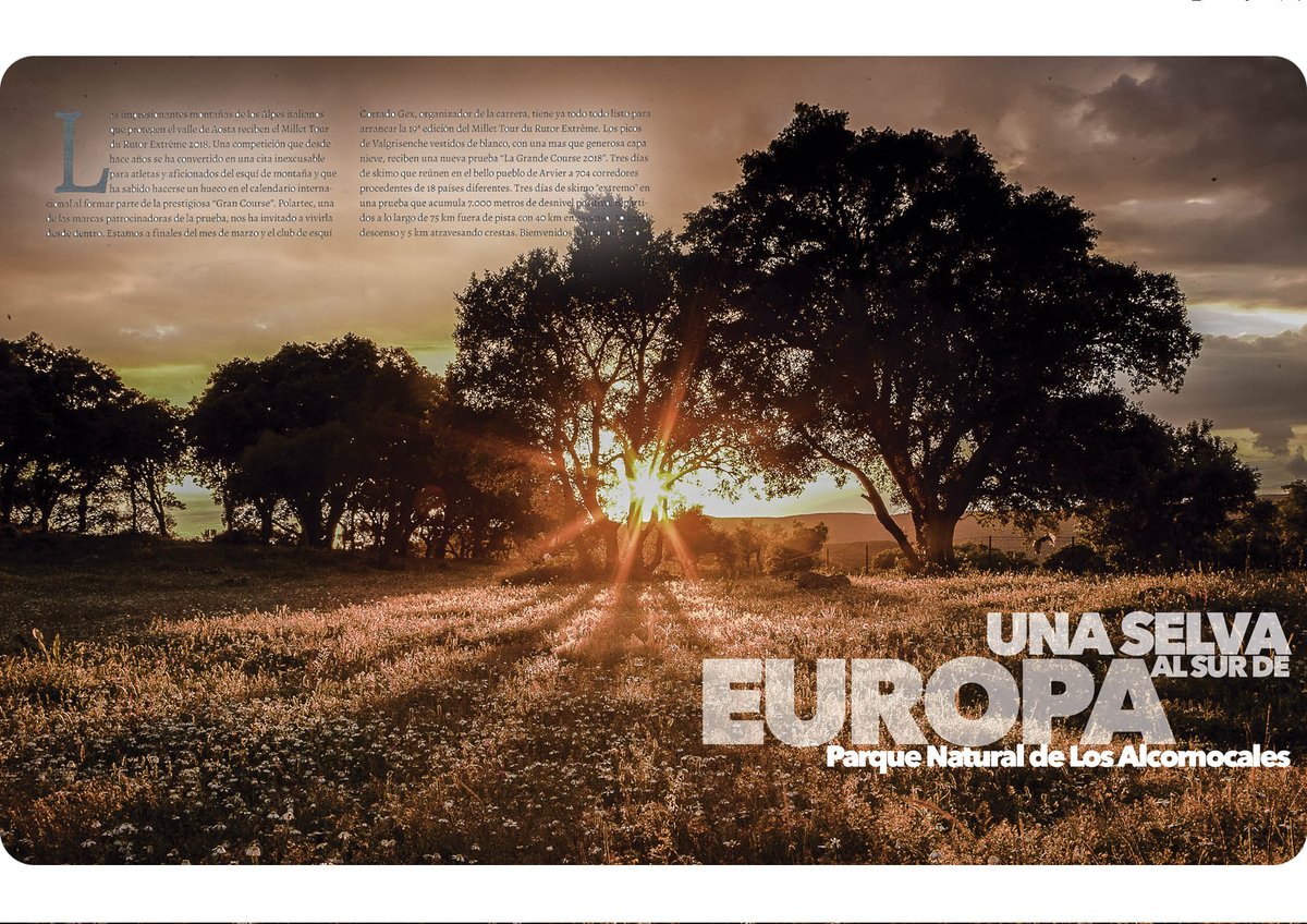 Hoy toca 🥾 #perderse en los 1.694 km² de superficie de #LosAlcornocales. La 🌍 última selva mediterránea, gracias al peculiar 🌦 microclima que envuelve este lugar.
#Andalucia #Cadiz #lugares #travel #viajar #turismo #nature #places #naturaleza