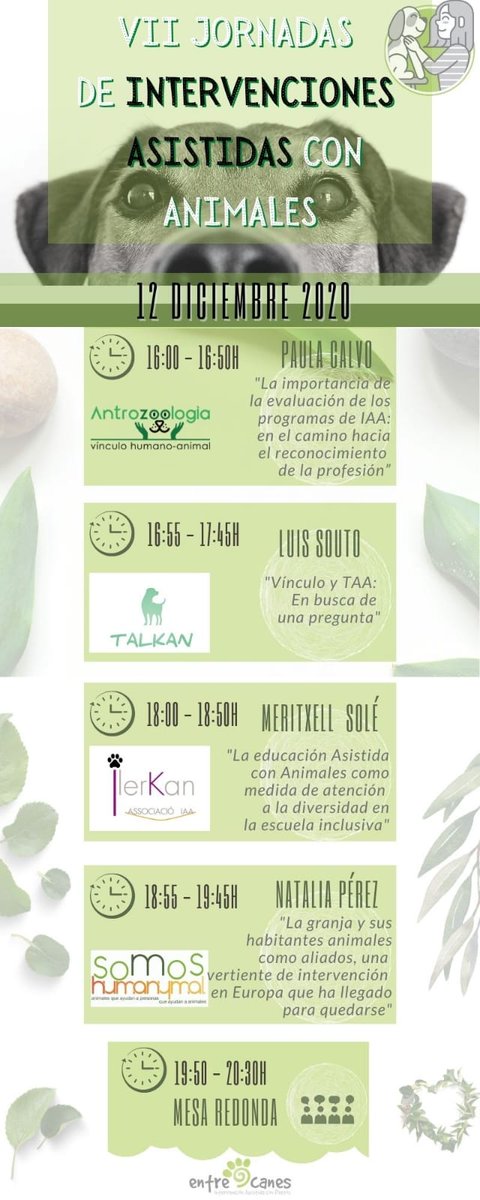 Este año realizaremos las VII Jornadas IAA de forma 100% online y gratuita, hay plazas limitadas por lo que si estás interesado/a escríbenos a inscripciones@entrecanes.org Muchas gracias a <a href="/Dra_Paula_Calvo/">Dra. Paula Calvo Antrozoologia</a> <a href="/Talkan/">Tal Kanonich</a> <a href="/ilerkanass/">Associació IlerKan</a> y <a href="/Humanymal/">Humanymal - TAA</a> por no dudar ni un momento en participar!