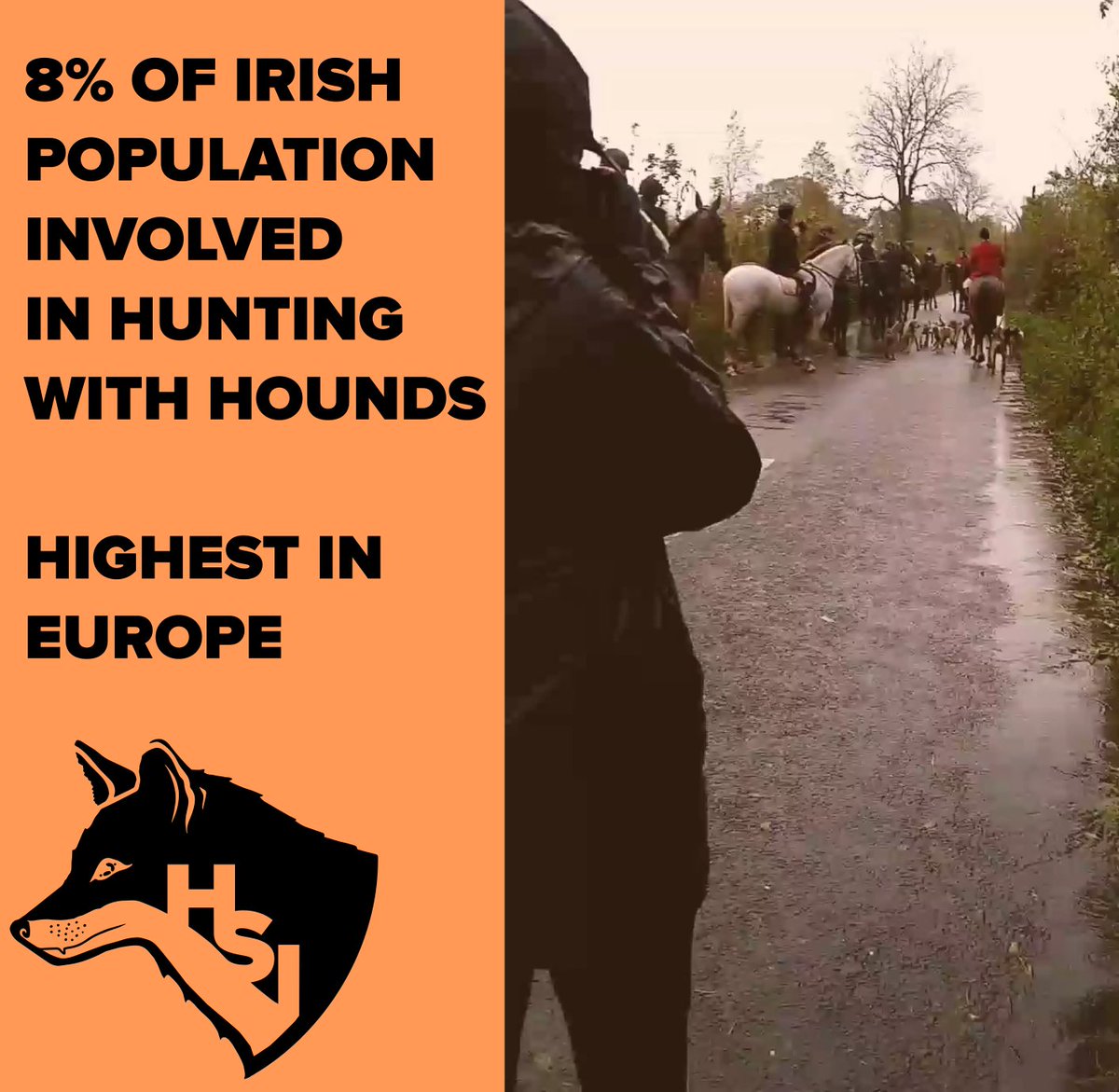 HuntSabsIreland's tweet photo. 8% of people living in Ireland are involved in bloodsport, specifically "hunting with hounds".

The real question is, what are the other 92% doing about it?
Visit our website here to get involved in the campaign: https://t.co/YAjnZA1Jxi

#IrishWildlife #HuntSabs https://t.co/JbgGZvquPK