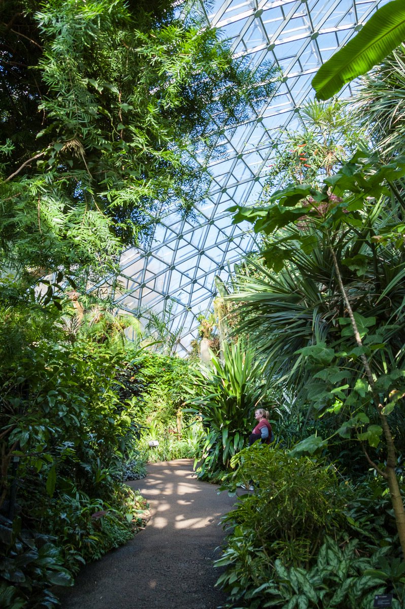 None of my photos from 2011 really do the scale of the Climatron justice, but it is beautiful.
