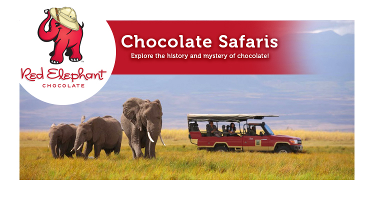 RedElephantChocolate tweet media