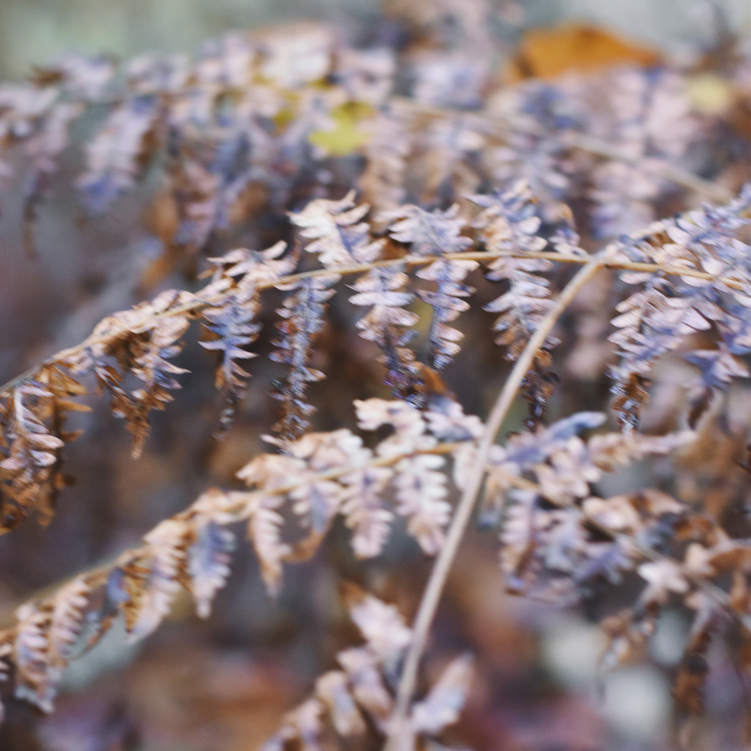 I’ve been re-writing my website copy recently.  I'm not finished yet but I’m getting there -  learning to capture the essence of my work and describe it.. again.   

I don’t mind admitting it’s a struggle and I guess getting to this point - where I feel as though I am fin