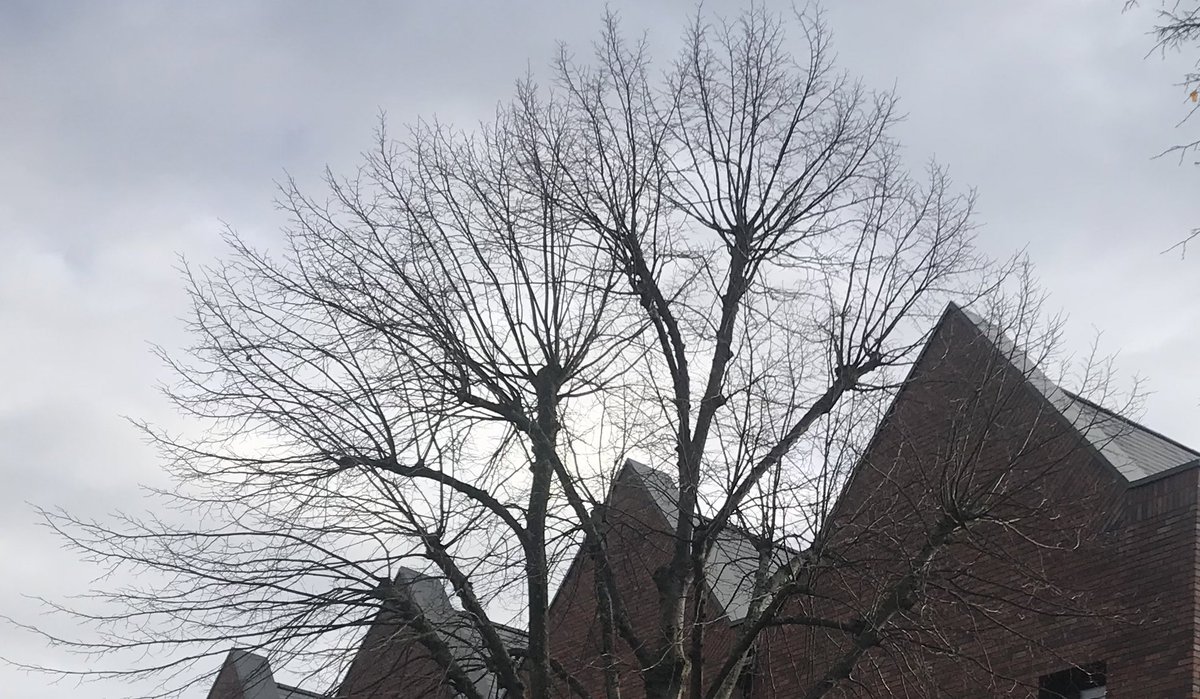 ContactusEaling's tweet photo. It’s a bit grey and gloomy outside, there’s nothing much we can do to improve this pic!
Does this spot look familiar, though?
Would you like to say where it is for this evening’s #EalingHour #whereinEaling challenge? Answer in the comments below.
#everydayphoto #funisallowed https://t.co/ncObhMDR3e