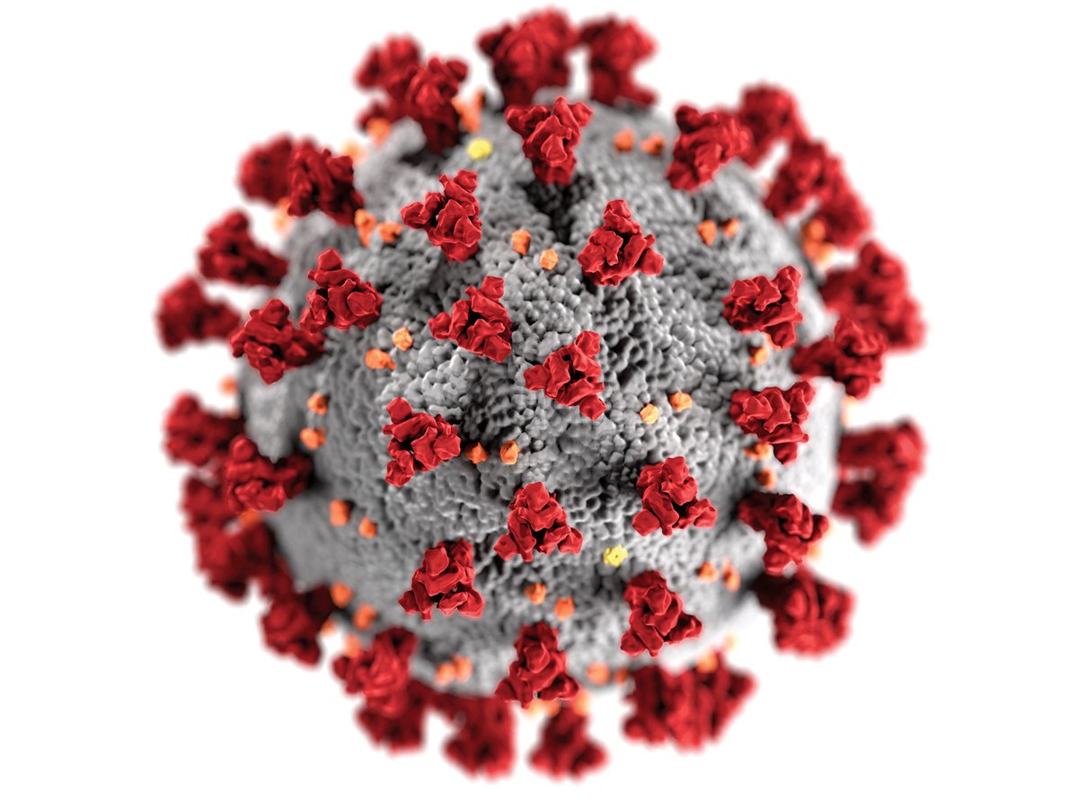 UMDscience's tweet photo. Our #ScienceTerps have been on the front lines working to make a difference during the COVID-19 pandemic. Read about how our faculty members and alumni have been fighting against the disease in our latest issue of Odyssey. https://t.co/kYkTNxdgst
#ShellsUnited #TerpsKnowScience https://t.co/KOmJeVfjeT
