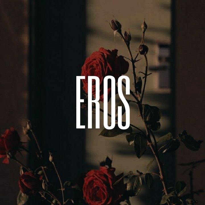  Eros ; dio del desiderio e dell'amore carnale, egli spinge gli umani e gli dèi verso la bellezza (spesso illecita). Col suo arco, la sua musica ed i suoi spregi, Eros è la mente capricciosa e/o il tramite che ha contribuito agli intrecci amorosi più patiti della storia.