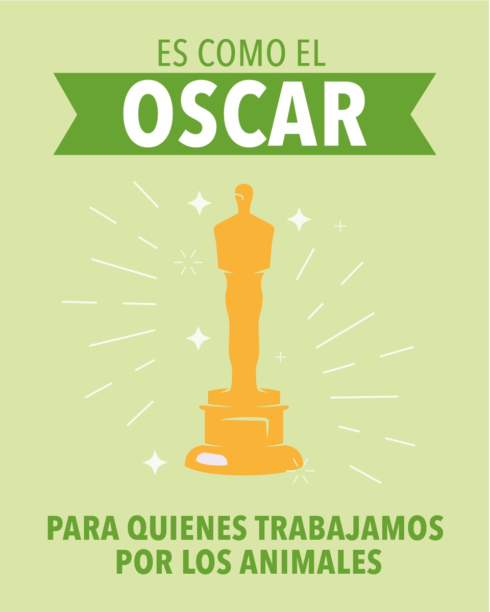 FundacionVeg's tweet photo. 🤩¡¡¡Estamos muy felices!!!🤩

Nuestra Fundación @vegetarianos_hoy fue reconocida por @AnimalCharityEv  como #StandoutCharity 2020 🌟🏆🌟

Esto significa que nuestro trabajo por un mundo mejor para los animales ¡es de los más eficaces del mundo! 💪🏽🐮🐥🐷🐟💚 https://t.co/3giAKUQWMq