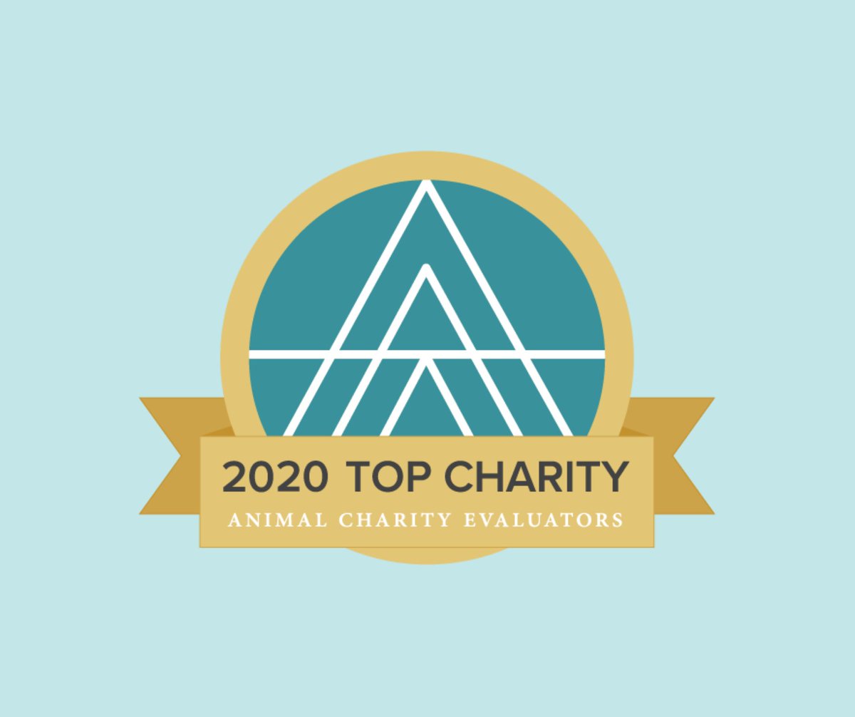 forwildanimals's tweet photo. We're thrilled to be recognized as an ACE Top Charity! This is a monumental milestone for Wild Animal Initiative and wild animal welfare research. We couldn't have done it without your support.
https://t.co/wewlB16153 https://t.co/tFjRBAQfwx
