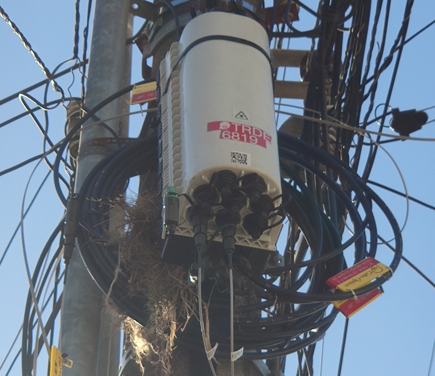 Daniel Zabotti tweet media