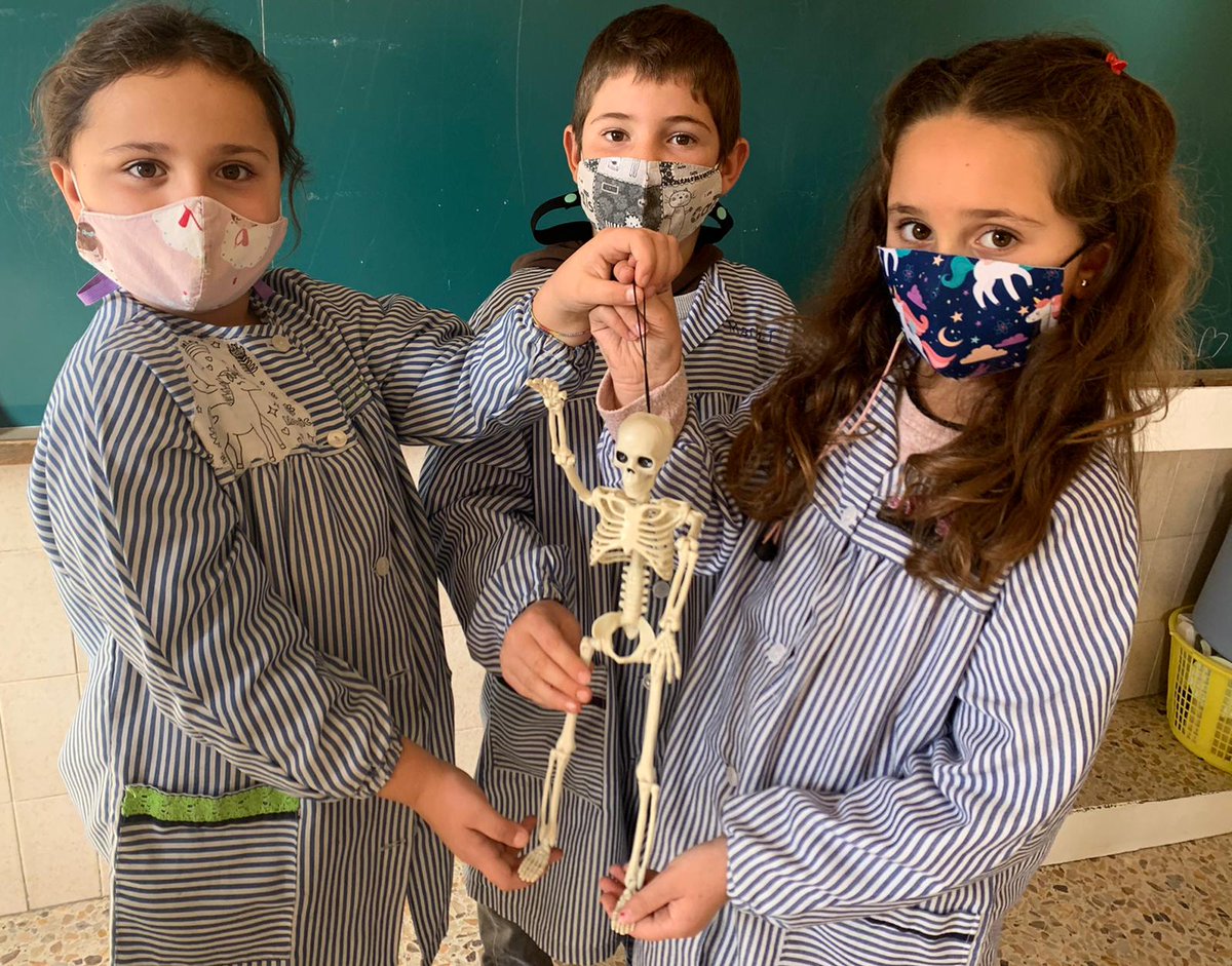 vedrunacent's tweet photo. Fa uns dies ens va arribar un esquelet a cada classe de 2n amb un farcell ple d’objectes. Al llarg d’aquest projecte haurem de descobrir com creix el nostre cos i de què està format. #2PRIMSSCC https://t.co/DWVglhkd41