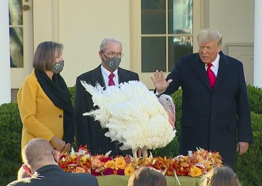 Capitol Steps tweet media