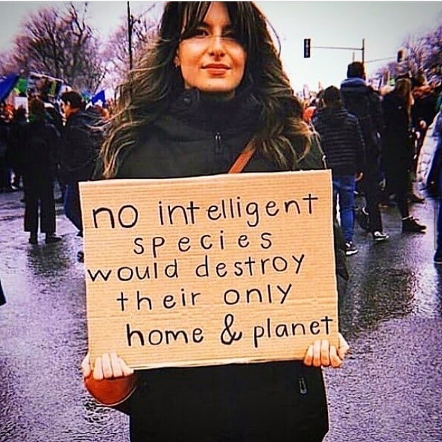 Zero Plastic tweet media