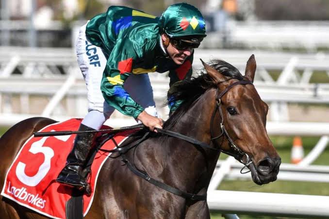Very grateful to <a href="/EndreszAllan/">Allan Endresz</a> and his family for sending us one of the country’s very best racehorses, ALLIGATOR BLOOD. Looking forward to him joining us at Tulloch Lodge and adding to his impressive CV 🐎