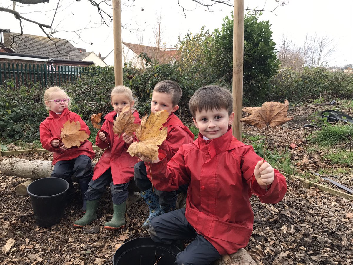 MrsBatemanFS's tweet image. Year 1 were using leaves to develop their science skills today.  Collecting, collaborating, classifying and celebrating.