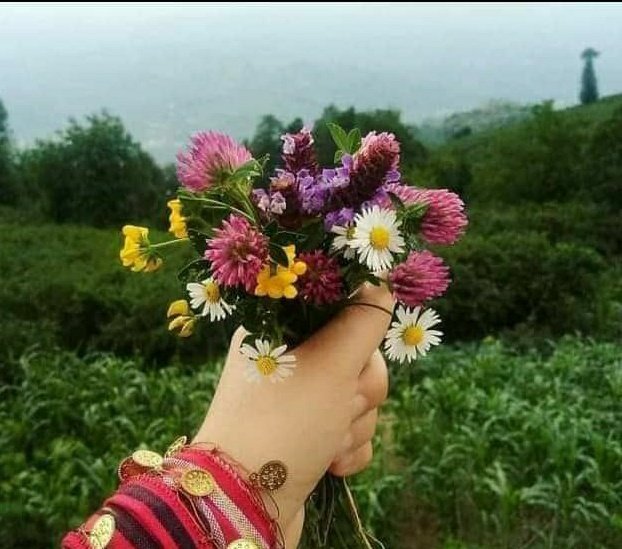 ركب الله الملائكة من عقل بلا شهوة وركب البهائم من شهوة بلا عقل وركب ابن آدم من كليهما فمن غلب عقله على شهوته فهو خير من الملائكة ومن غلبت شهوته على عقله فهو شر من البهائم.