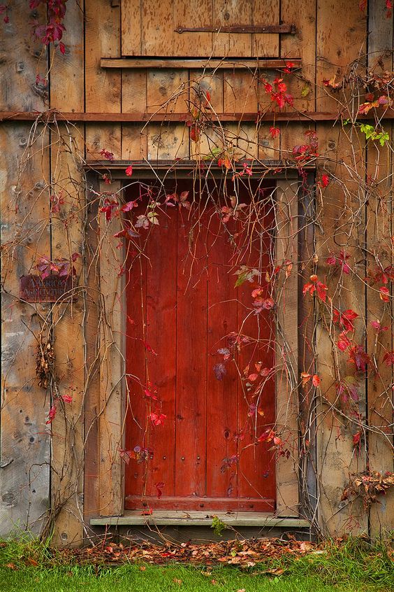 Today is the day you put on your warmest cloak and at long last open the red door that comes and goes from the new wall down the road.