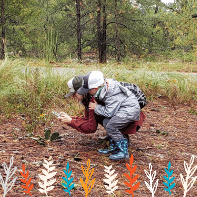 directom's tweet photo. Nikki is thankful for all the outdoor adventures she got to have with her family this year. She got to explore nature and even find cactuses! ๐ต ๐ ๐ณ
#DOMThankfulWeek #DOMDifference #GrowConfindentlyOnline https://t.co/Xp29Ke08sq