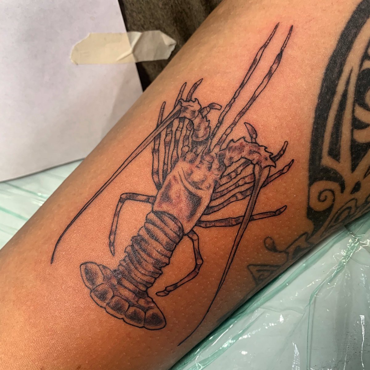 #cajun #crawfish #mudbug #blackandgraytattoo