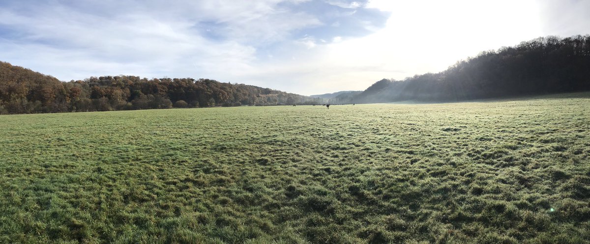 Haras De La Mercerie tweet media