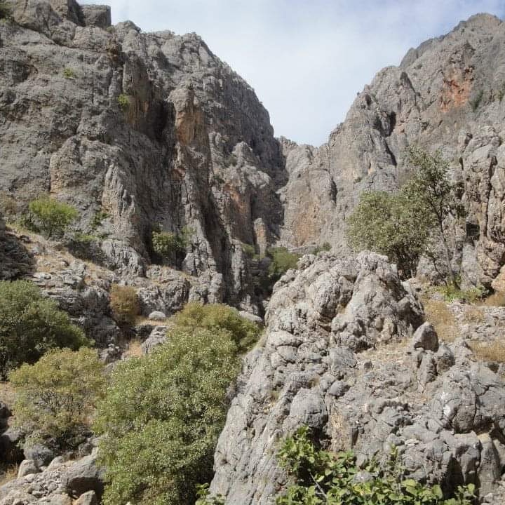 #anadolu #arapgir #malatya #photographer #photography #photo #photooftheday #nature #photoshoot #naturephotography #love #picoftheday #canon #instagram #like #instagood #travel #model #travelphotography #fashion #photos #follow #beautiful #nikon #fotografia #foto #reis #alperen https://t.co/6MnEFUnwVT