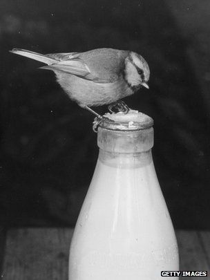 Number 5Milk related crimeGetting the wrong sort, letting it go warm, not letting it get too cold for the tea, bringing it in before the birds peck it, or it freezes, some rule about the f*cking cream on the top (shake nor not to shake?) spilling it and making the house smell