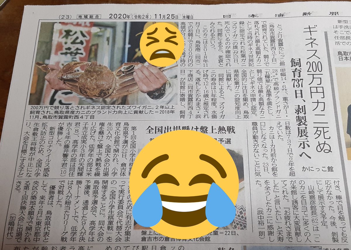 アクセスホッパー 合掌 Tot 鳥取市 日本海テレビ