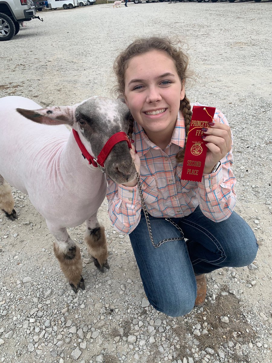 Reedyffa's tweet photo. 3 of reedy’s showmen participated in princeton ffa’s livestock show over the weekend! congratulations to ella evans for getting 1st and 2nd with maverick and goose!! #reedyffa #jackpotshow https://t.co/PKXmPlO7IU