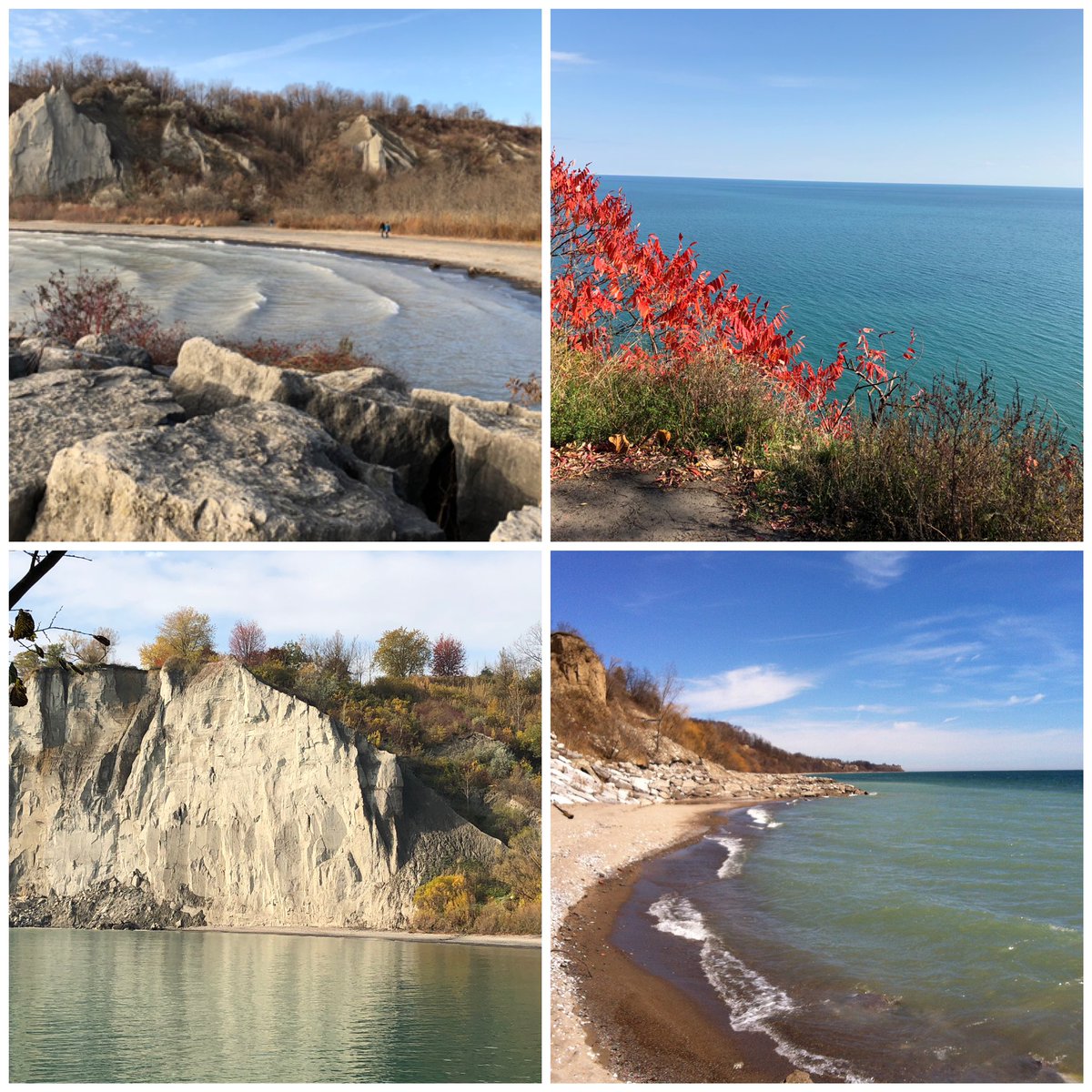 SLSomerville's tweet photo. @SCMirror #RealScarborough is the most beautiful part of #Toronto with wonderful people and a vibrant diverse culture. https://t.co/mKwO0axSzb